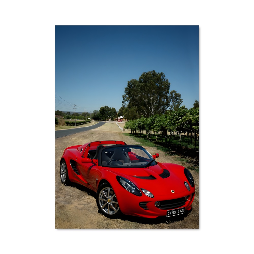 Poster Elise sport